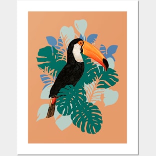 Toucan Bird Monstera Leaf jungle Posters and Art